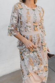 THE FULL BLOOM EMBROIDERED DRESS IN CHAMPAGNE